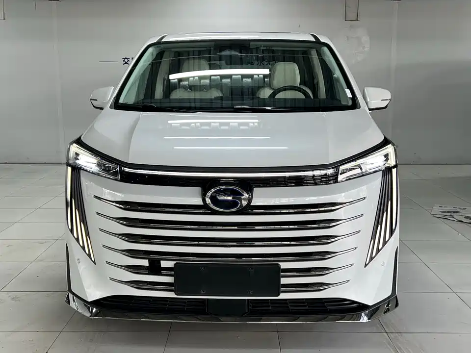 Trumpchi Trumpchi E9