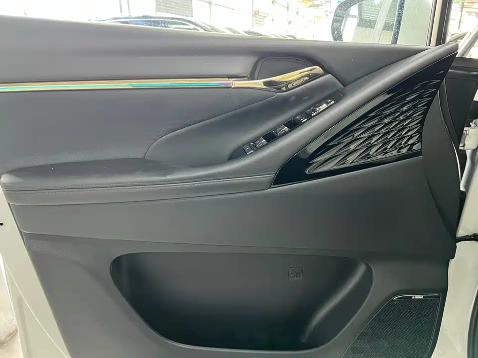 Trumpchi Trumpchi E9