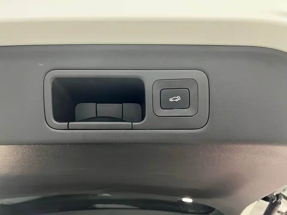 Trumpchi Trumpchi E9