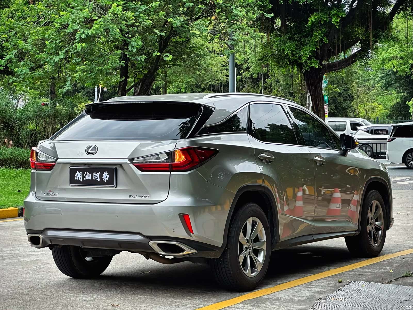 Lexus RX, 2019 2