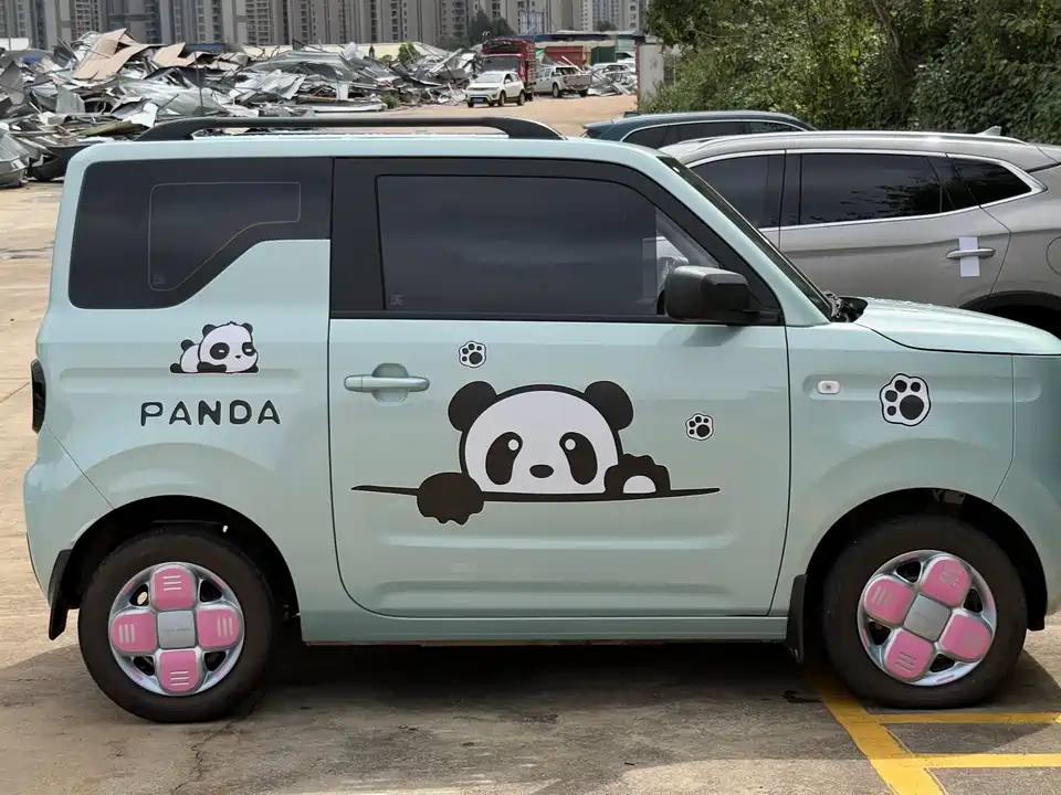 Geely Galaxy panda