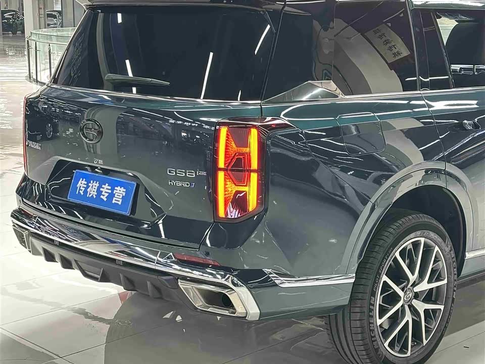 Trumpchi Trumpchi GS8