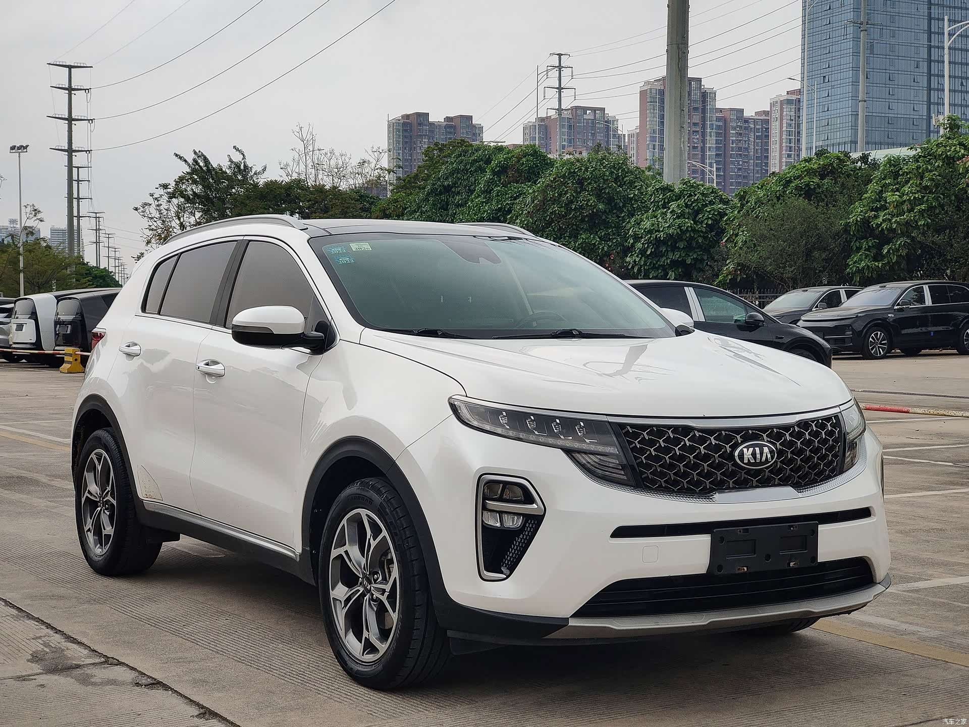 Kia KX5, 2020 3