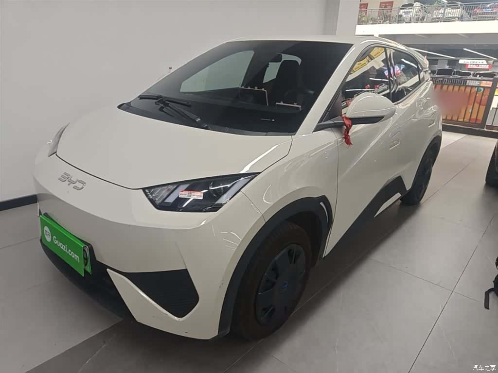BYD Seagull, 2025 1