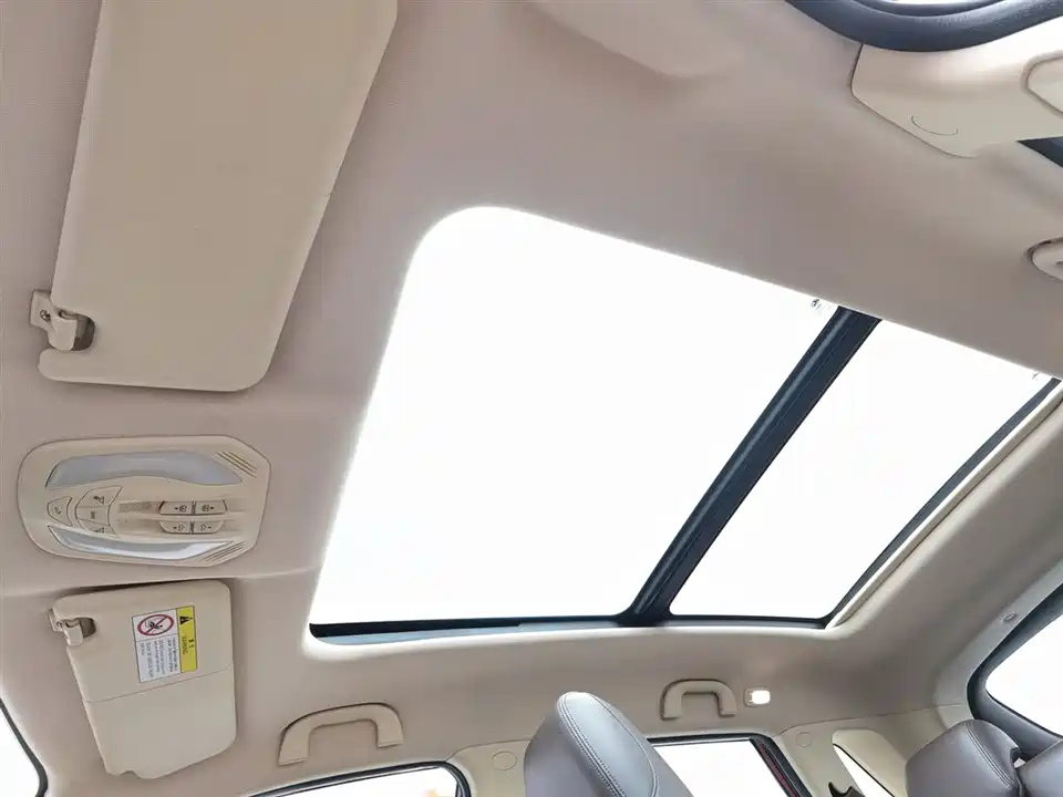 Leopaard Cheetah CS9