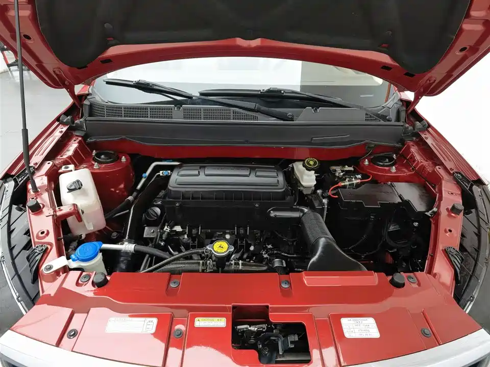 Leopaard Cheetah CS9