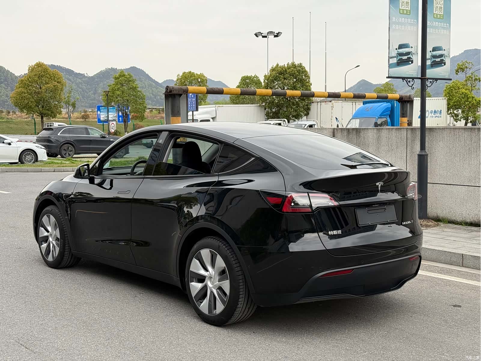Tesla Model Y, 2023 все фото