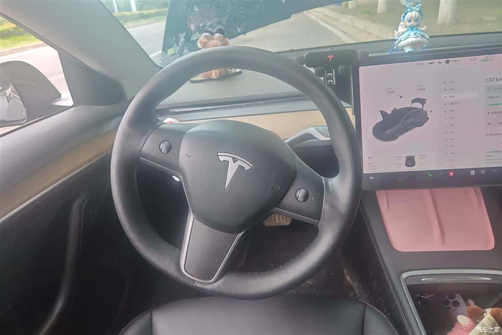 Tesla Model 3, 2021 15