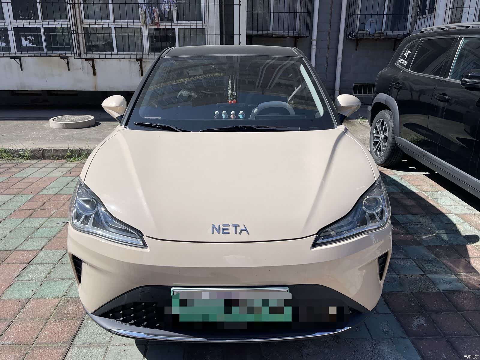 Neta Aya, 2024 2