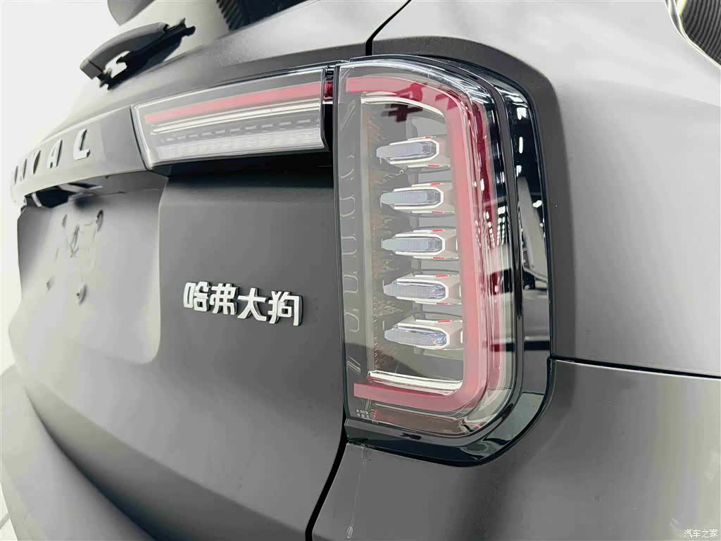 Haval Big Dog, 2022 22