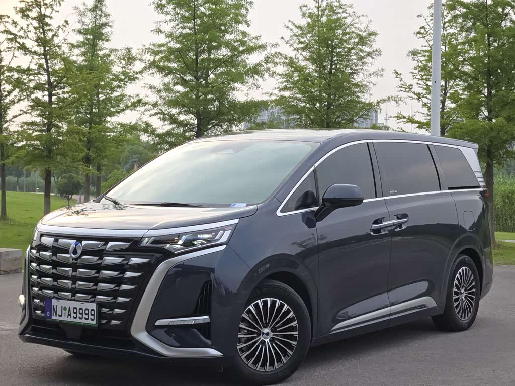Denza D9
