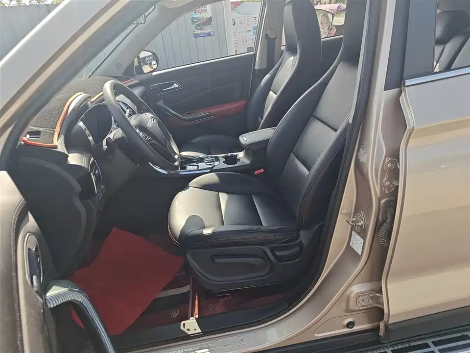 Leopaard Cheetah CS9