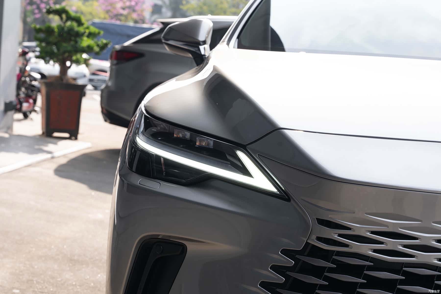 Lexus RX, 2025 6