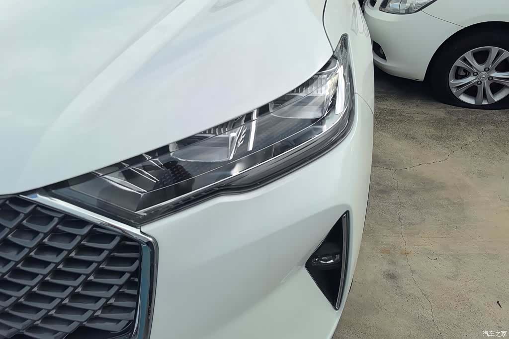 Haval H6, 2024 все фото