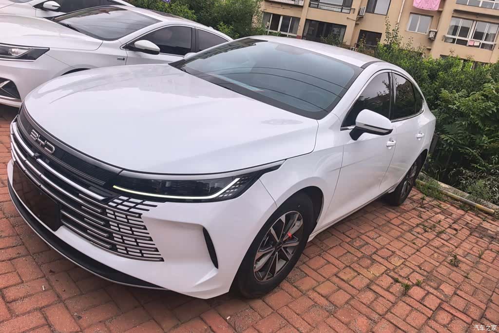 BYD Destroyer 05, 2024 1