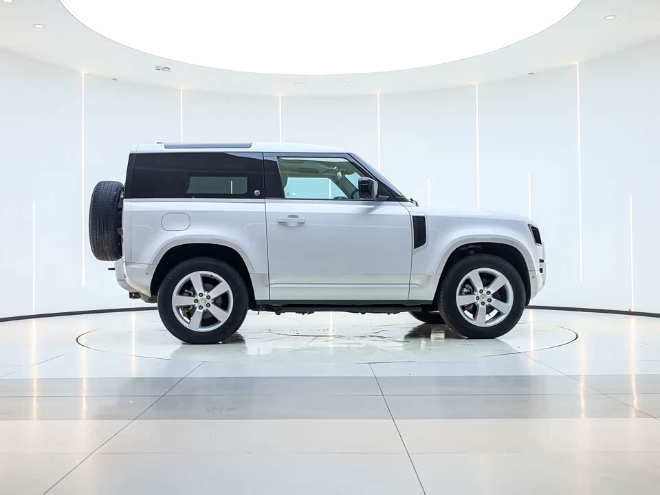 Land Rover guard