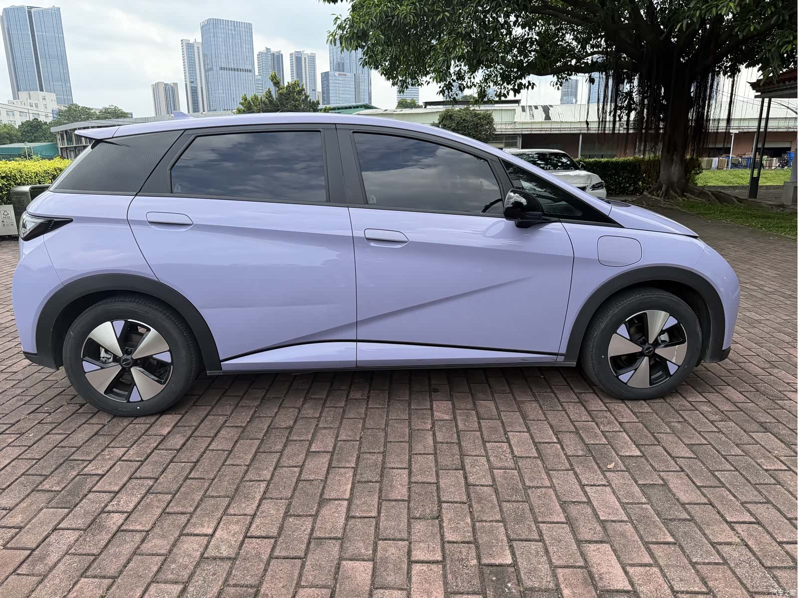 BYD Dolphin, 2023 10