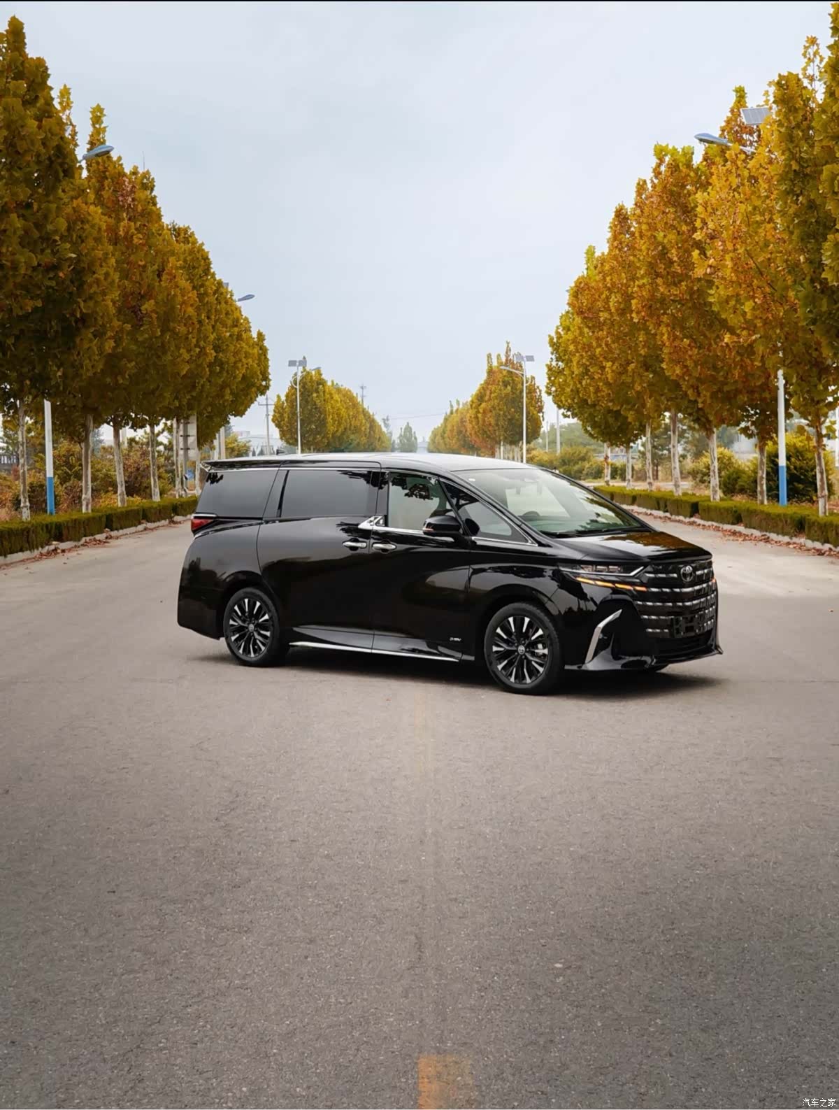 Toyota Alphard, 2025 7