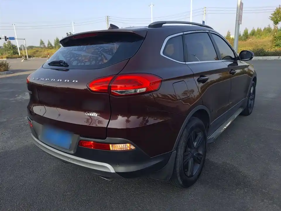 Leopaard Cheetah CS10