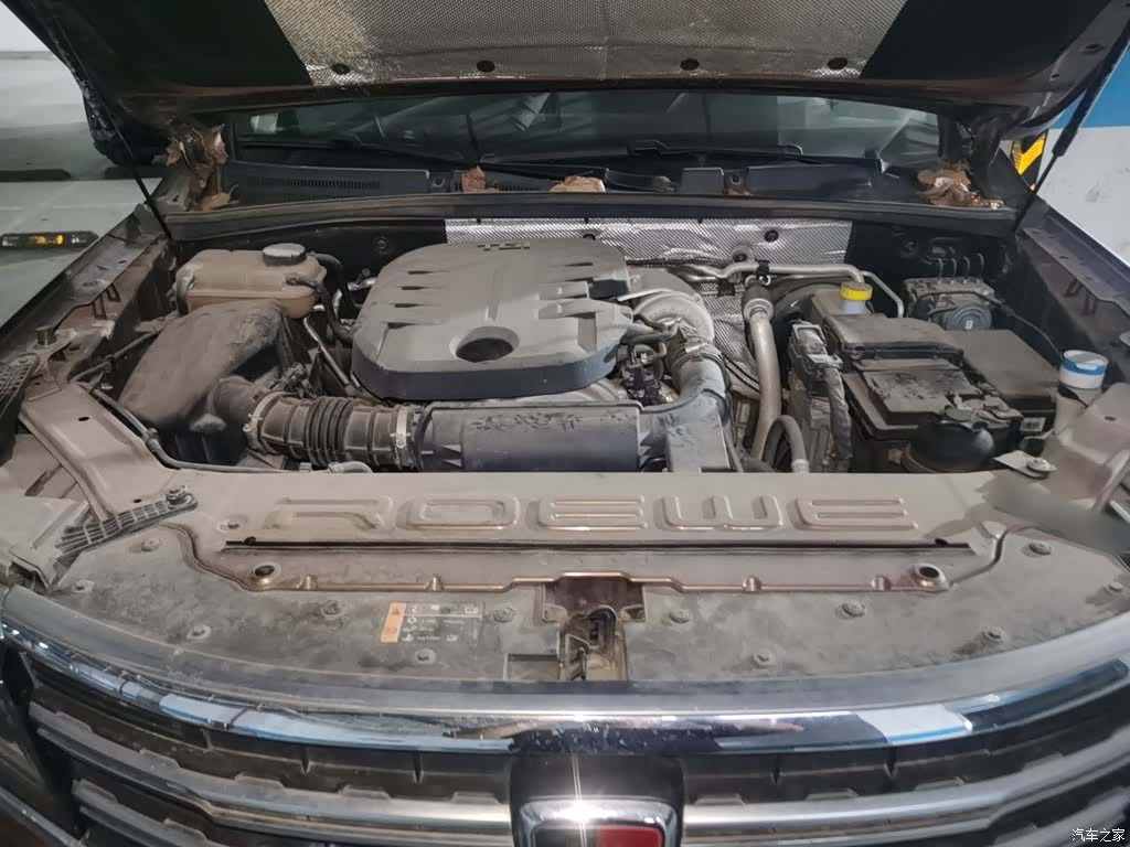Roewe RX8, 2019 11