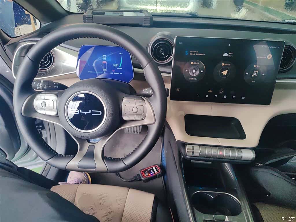 BYD Dolphin, 2024 10