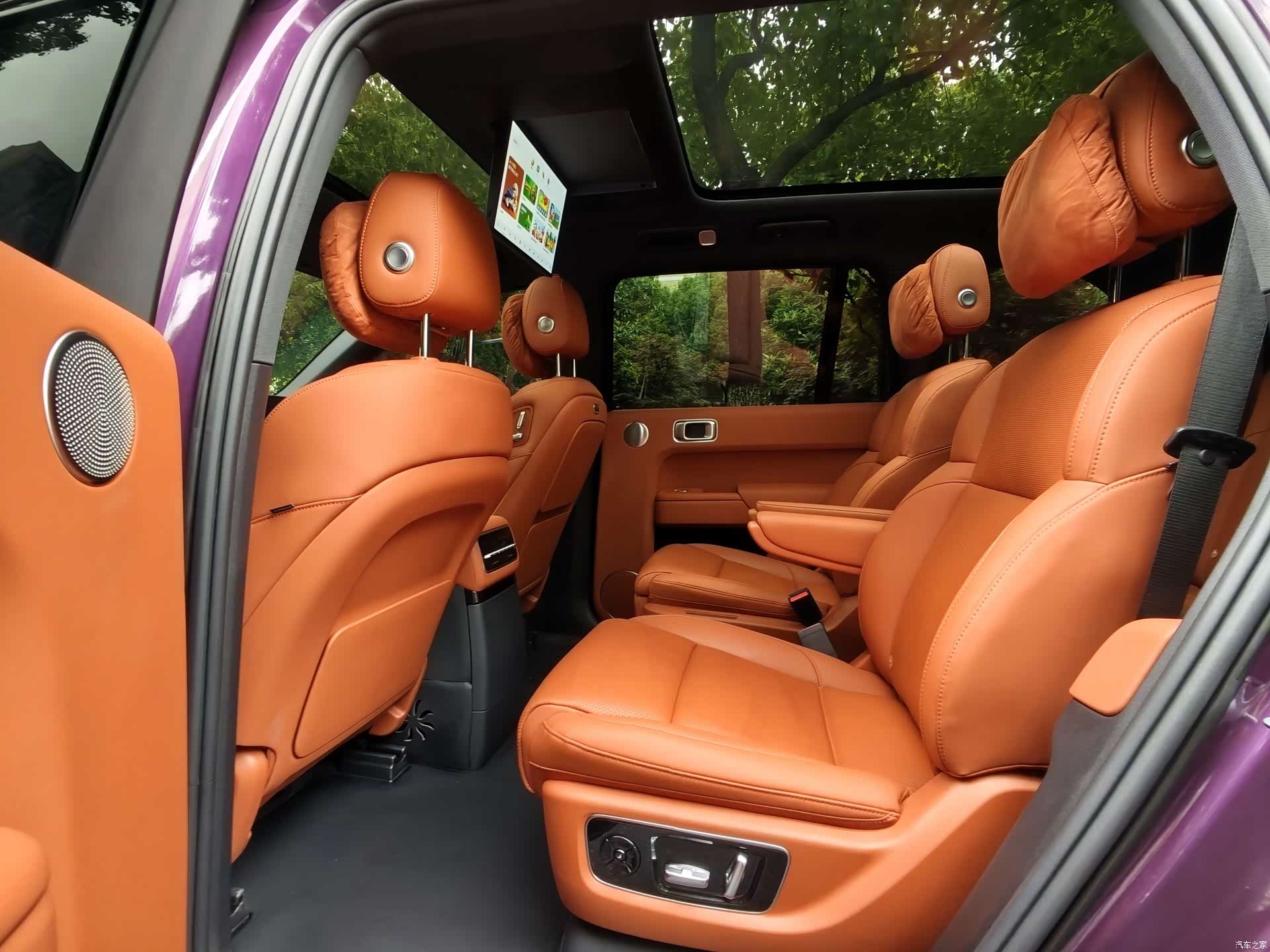 Li Auto L9, 2023 все фото