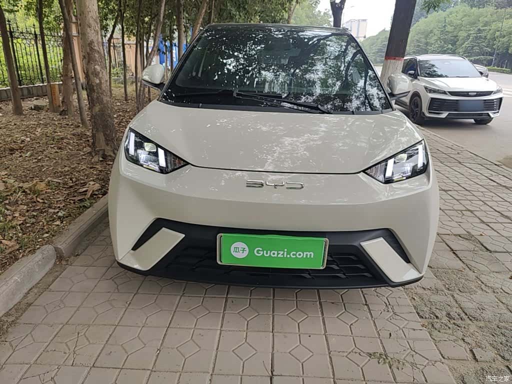 BYD Seagull, 2024 3