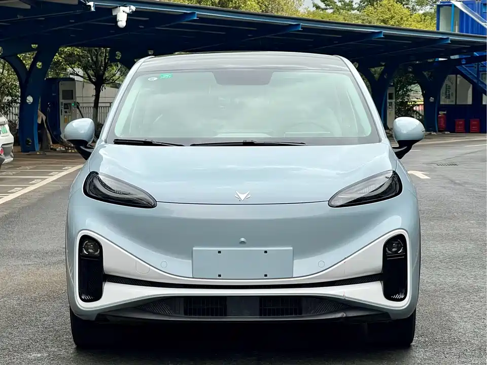 ARCFOX Polar Fox Koala S