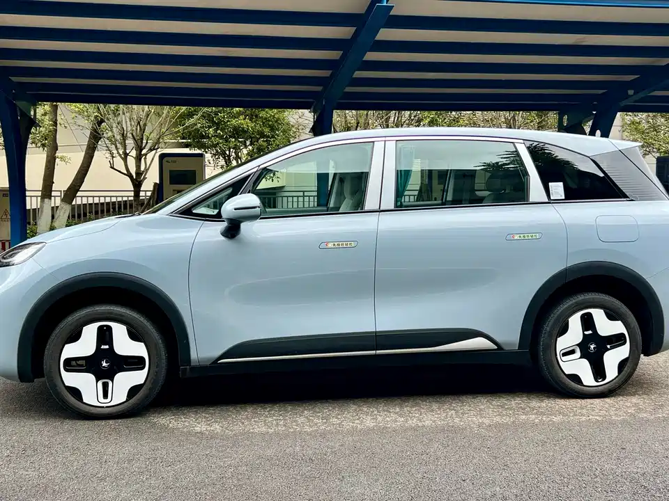 ARCFOX Polar Fox Koala S