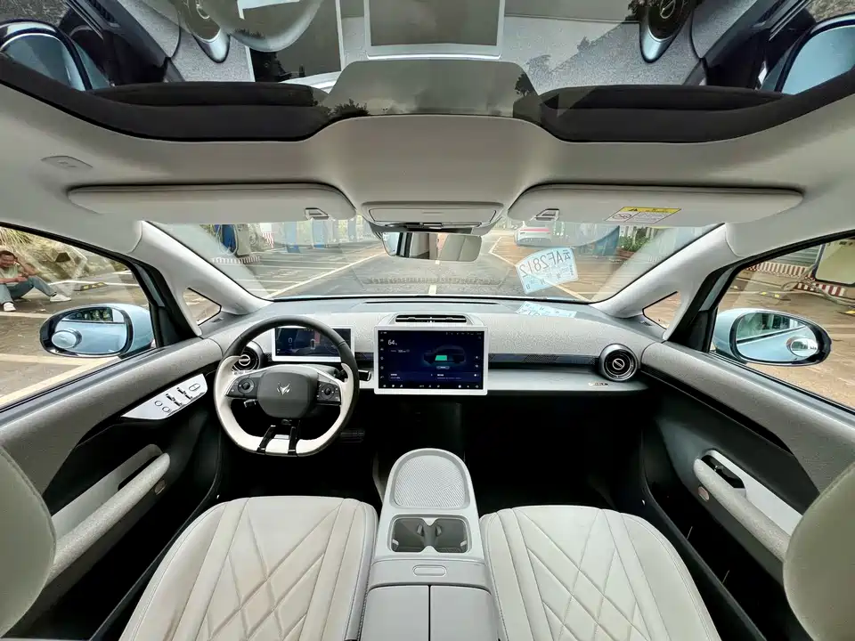 ARCFOX Polar Fox Koala S