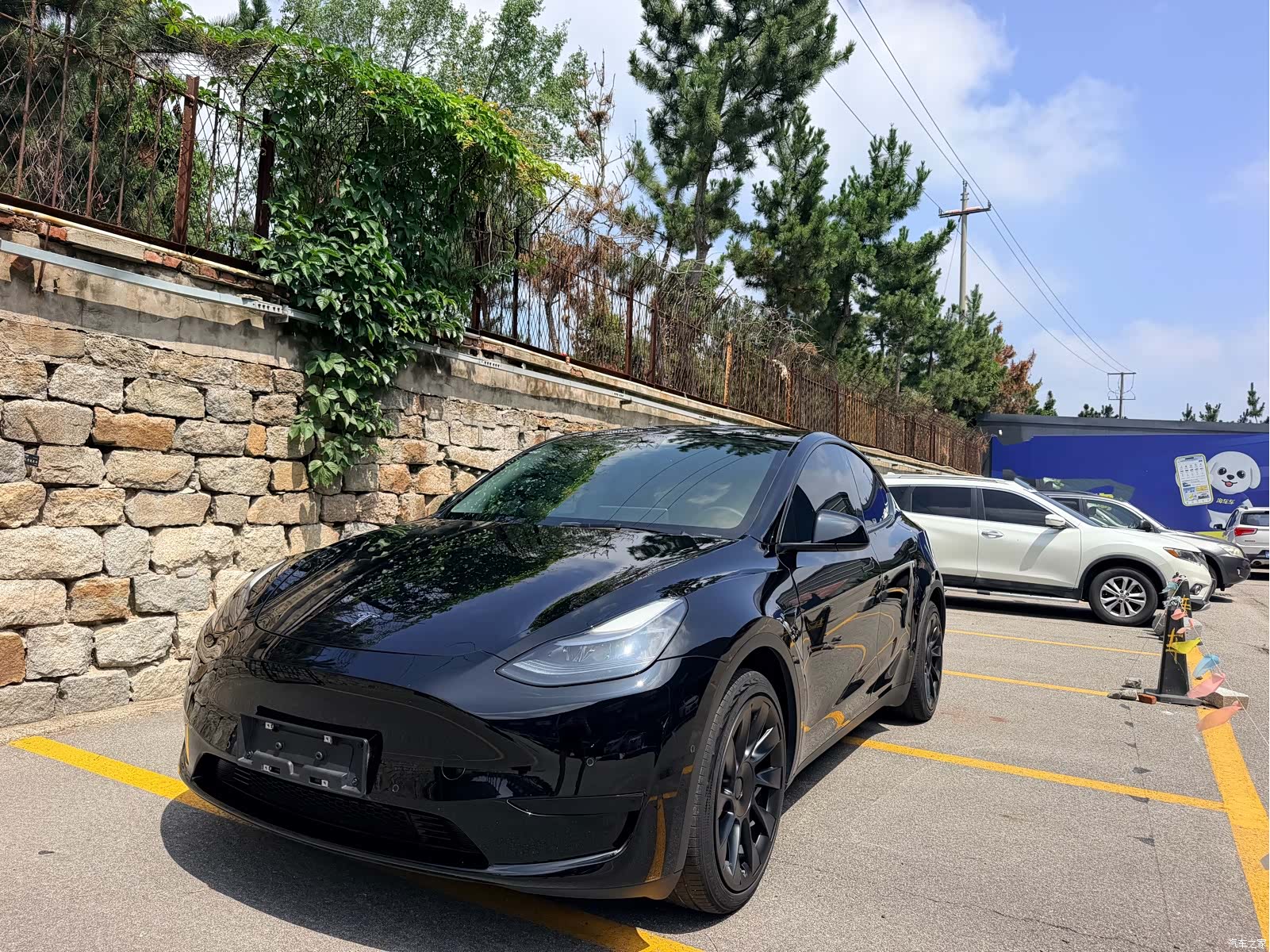 Tesla Model Y, 2022 1
