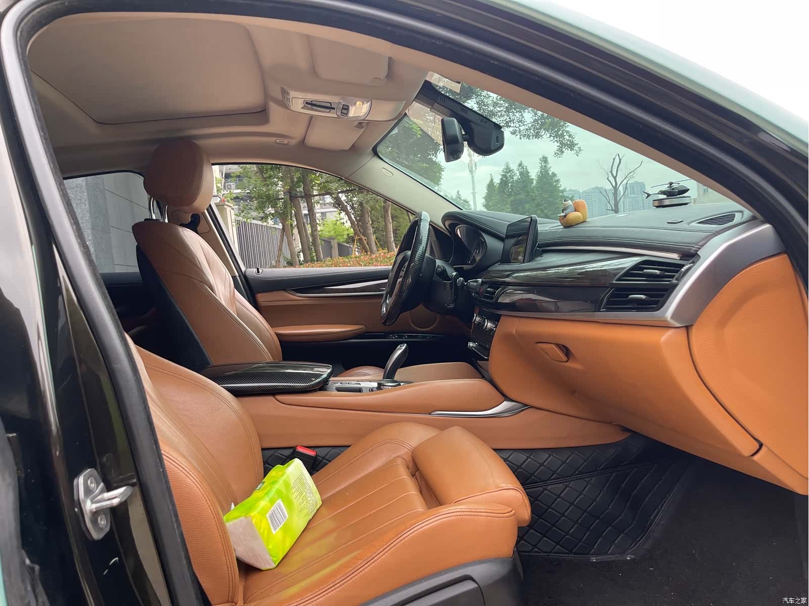 BMW X6, 2017 13