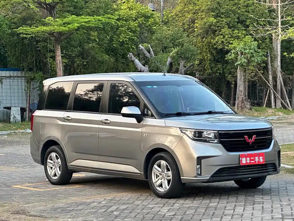 Wuling Wuling Hongguang PLUS