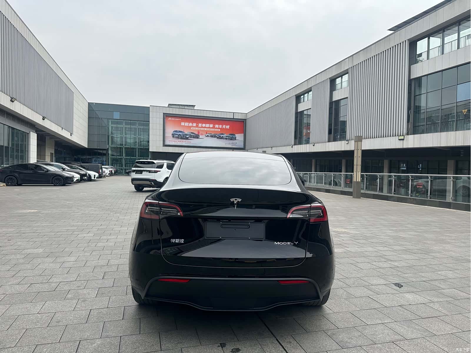 Tesla Model Y, 2024 все фото