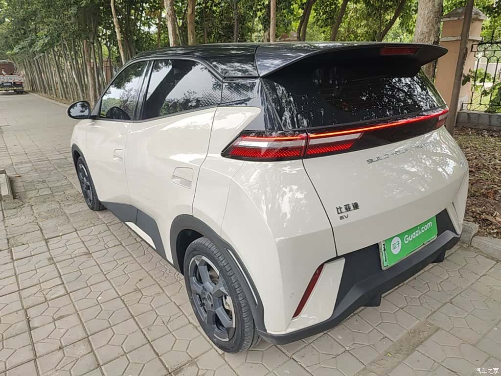 BYD Seagull, 2024 все фото