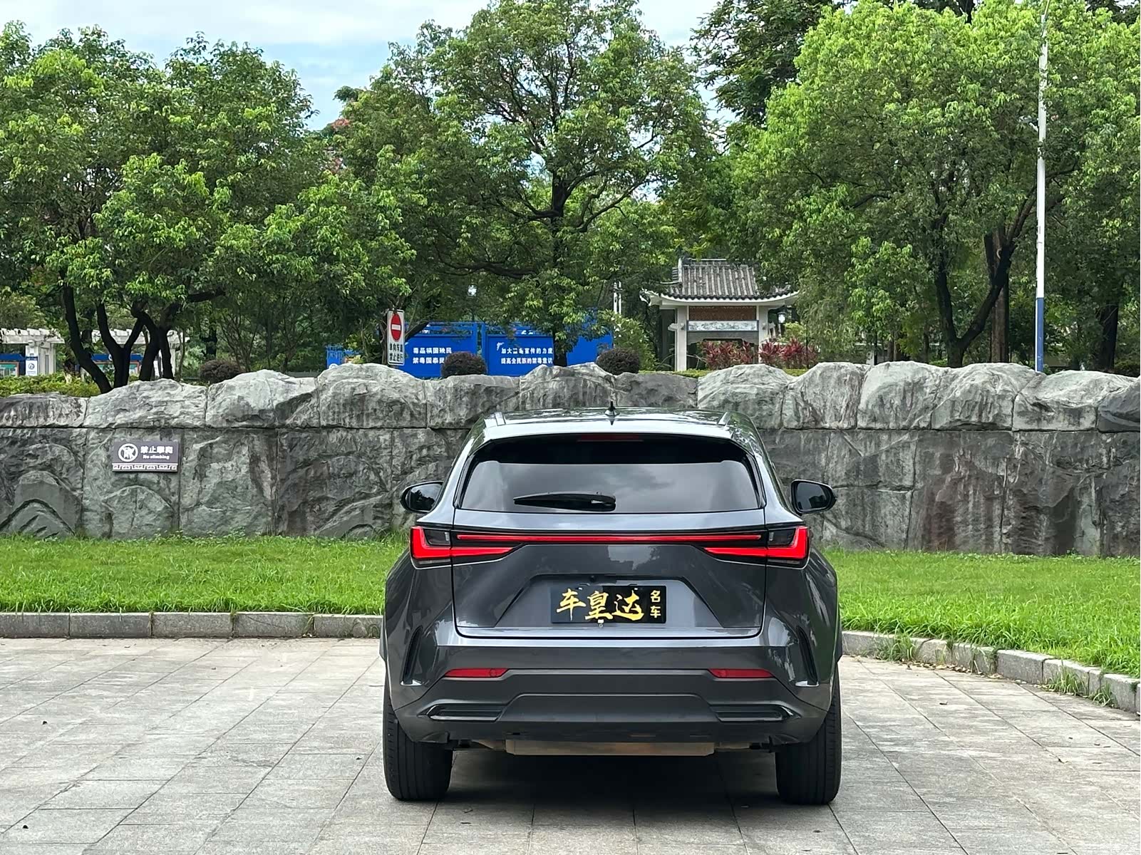 Lexus NX, 2022 все фото