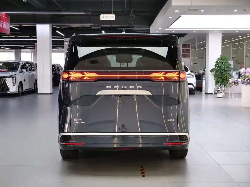 Denza D9