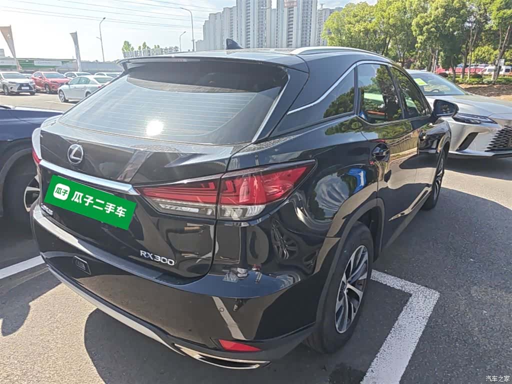 Lexus RX, 2019 7