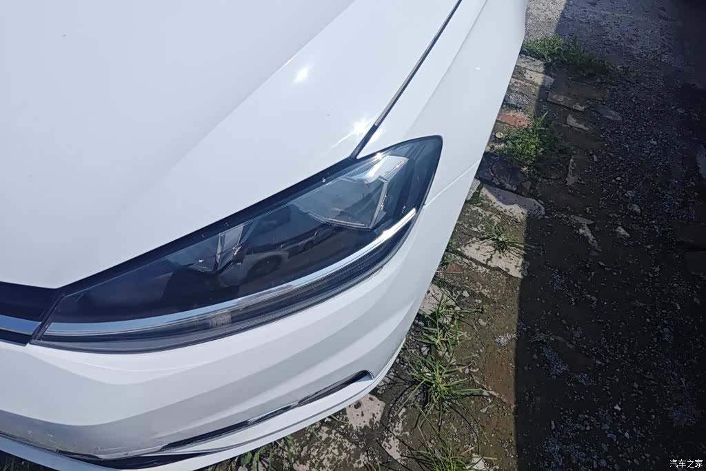 Volkswagen Golf, 2017 все фото