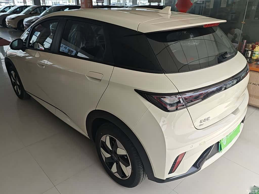 BYD Dolphin, 2026 все фото