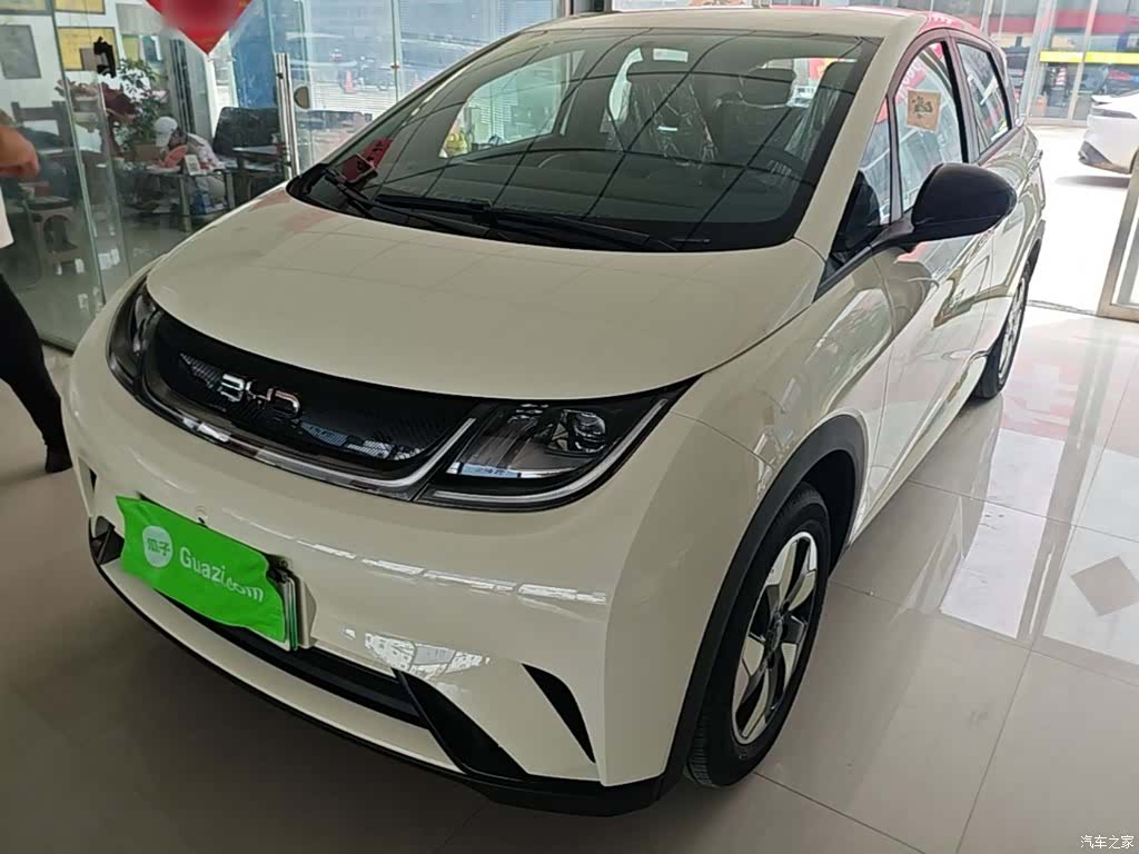 BYD Dolphin, 2026 2