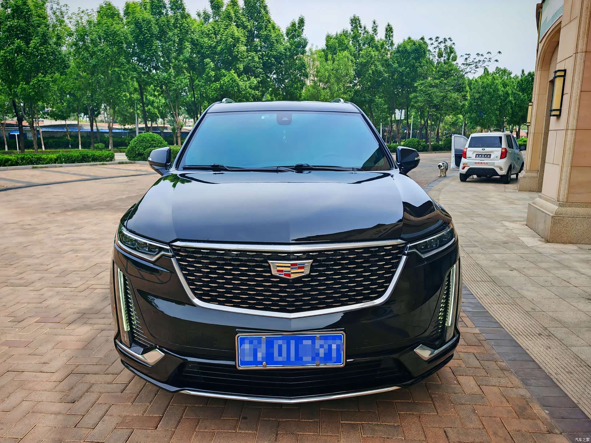 Cadillac XT6, 2022 2