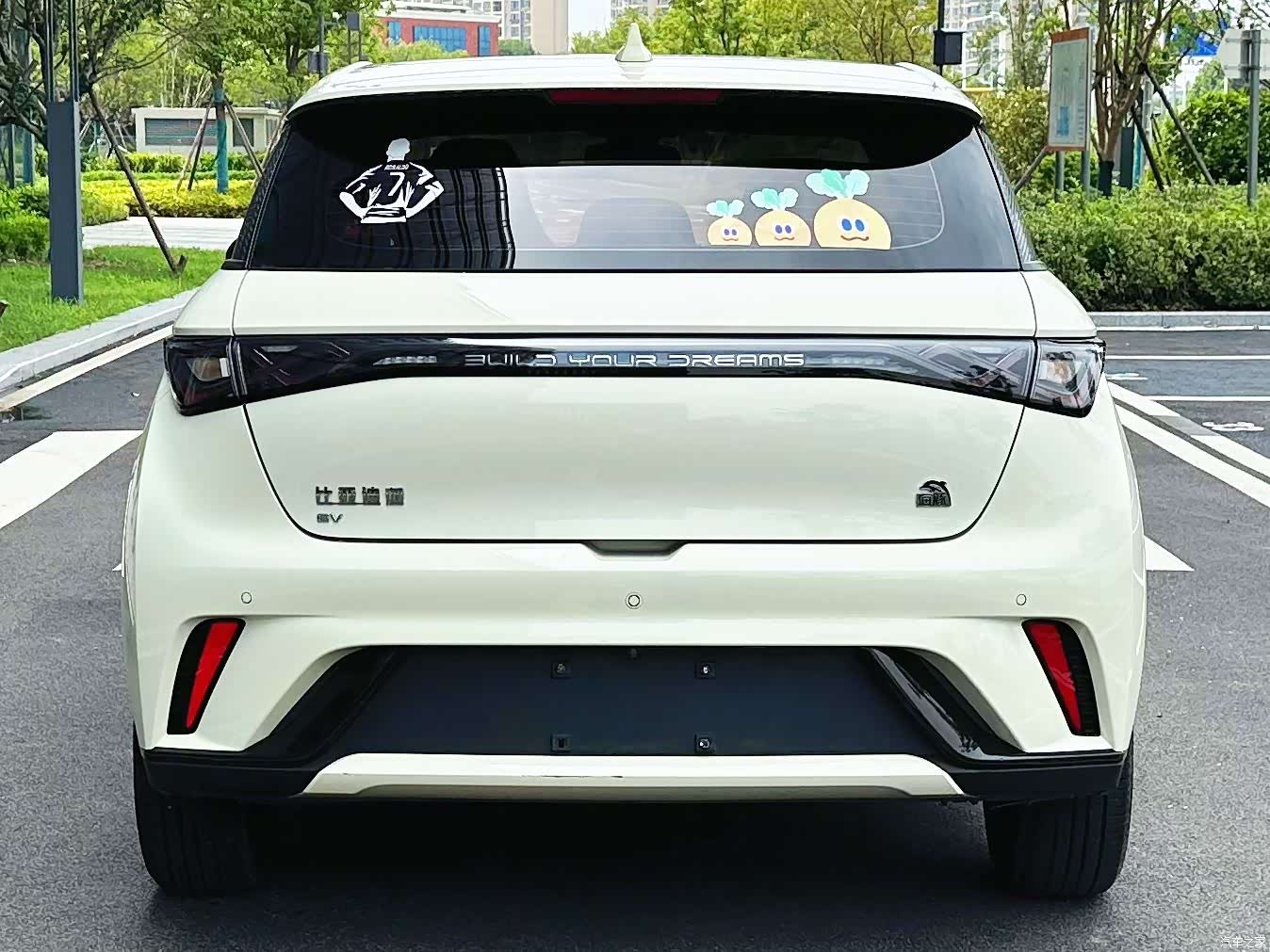 BYD Dolphin, 2023 10