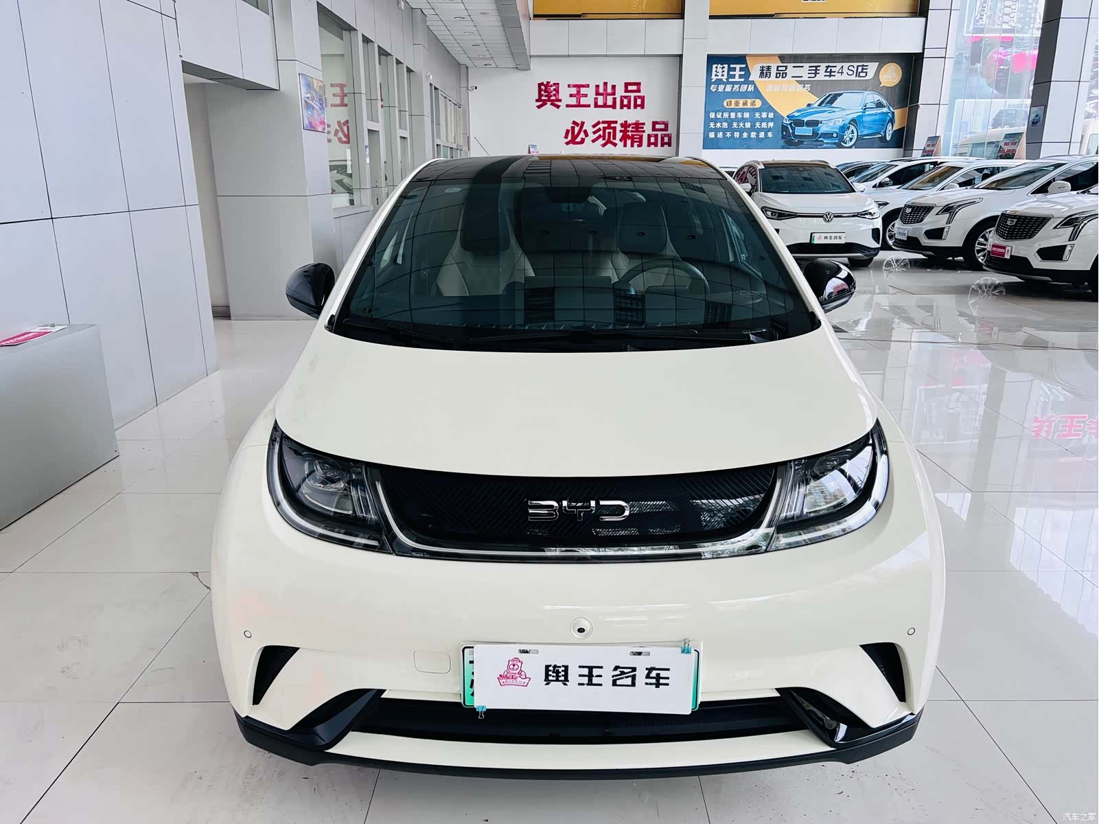 BYD Dolphin, 2024 4