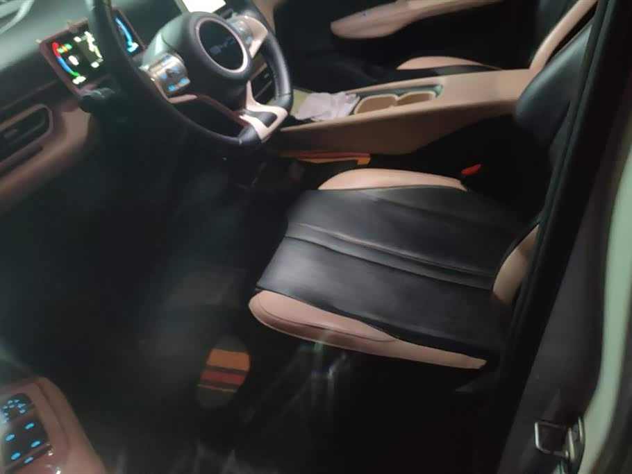 BYD Seagull