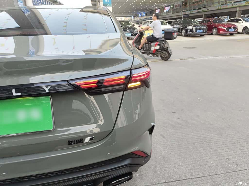 Geely Binray, 2023 8