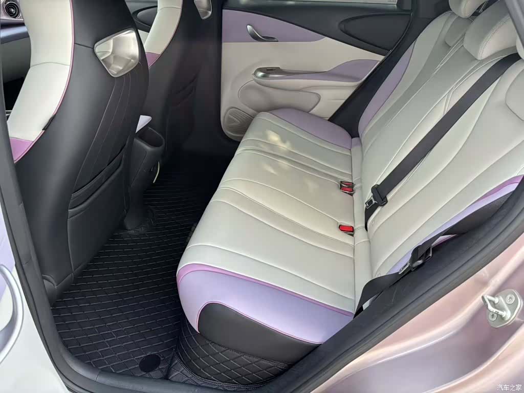 BYD Dolphin, 2022 17