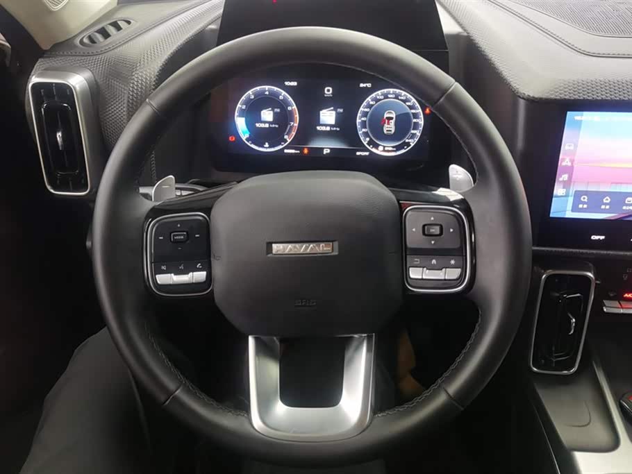 Haval Big dog