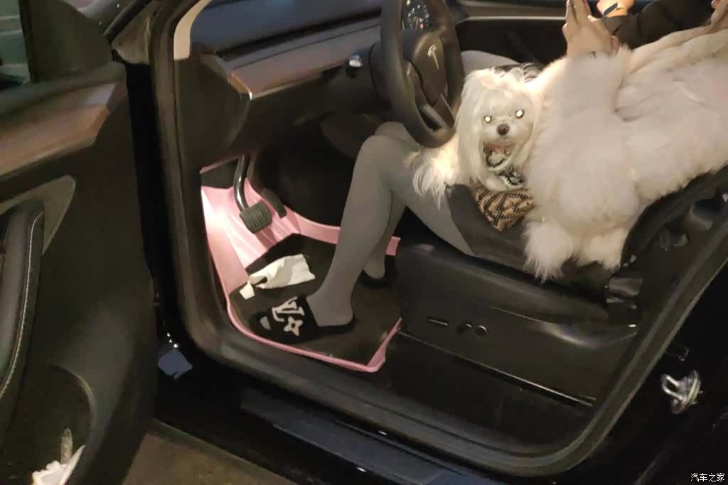 Tesla Model Y, 2022 9