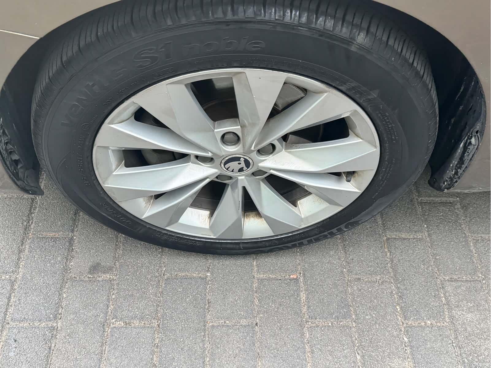 Skoda Superb, 2017 все фото